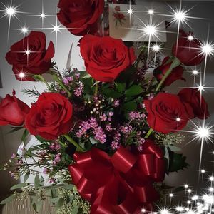 Meet your Posher, Sandy